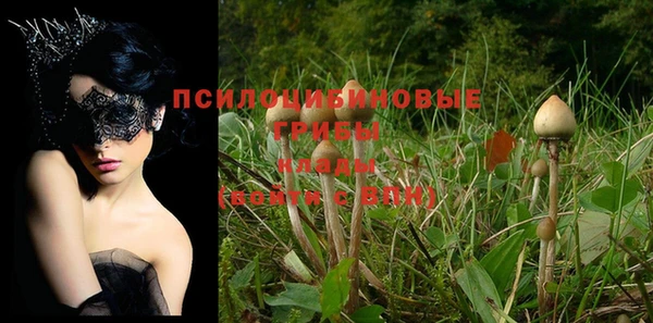 прущая мука Майский
