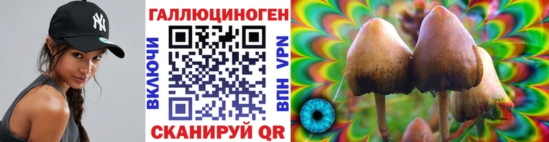 Галлюциногенные грибы Psilocybine cubensis  купить  цена  Шебекино 